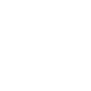 HAVAN logo